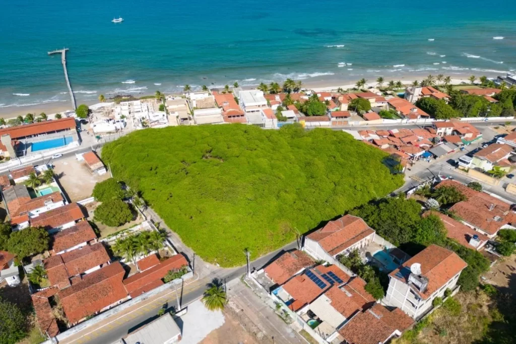 Passeios em Natal - Maior Cajueiro do Mundo